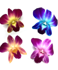 Dyed-Orchid-Loose-Blooms