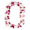 graduation lei