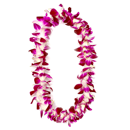 Heart in Hawaii Lei Flower Necklace - 2 Plumeria on 24-inch chain - Oc –  Temple Tree | Heart in Hawaii