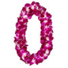 hawaiian leis for graduation