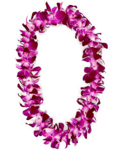 dyed pink lei