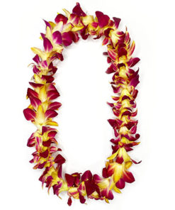 dyed Yellow orchid lei