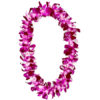 Graduation Lei