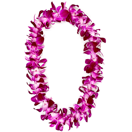  Fresh Hawaiian Orchid Flower Lei, Single Strand From