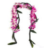 Graduation Leis