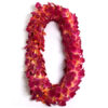 Graduation Lei