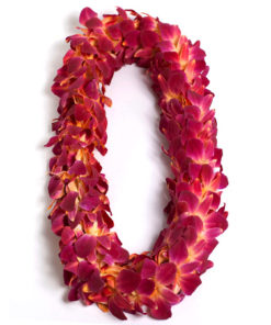 Graduation Lei