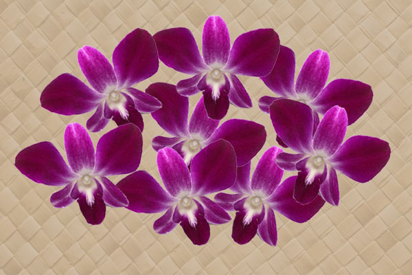 Classic Orchid Lei (Purple), Single